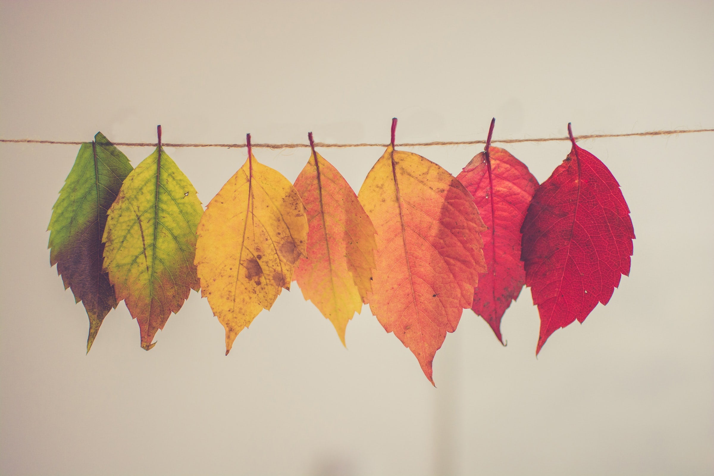 So Much to do Outdoors this Autumn