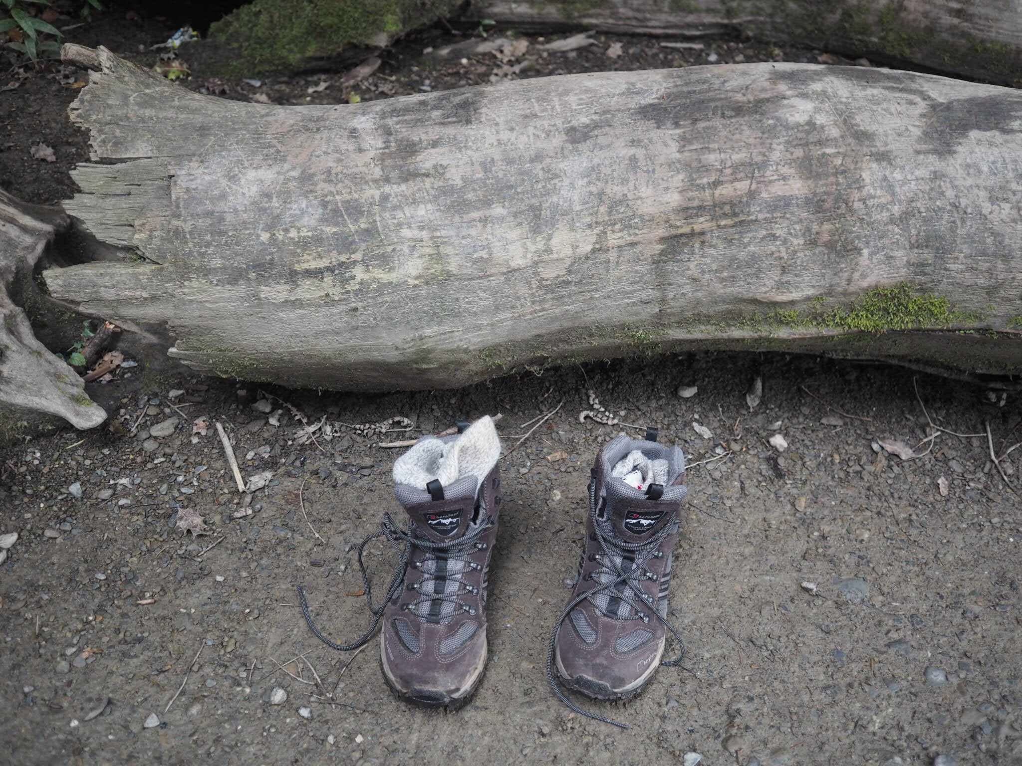 Are you a weekend warrior?